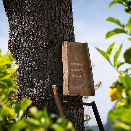 Dimora Giuela בית הארחה 4*