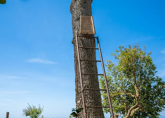 בית הארחה Dimora Giuela פוזיטנו