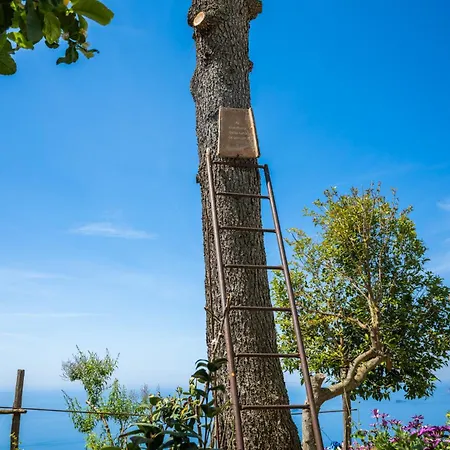 Guest house Dimora Giuela Positano
