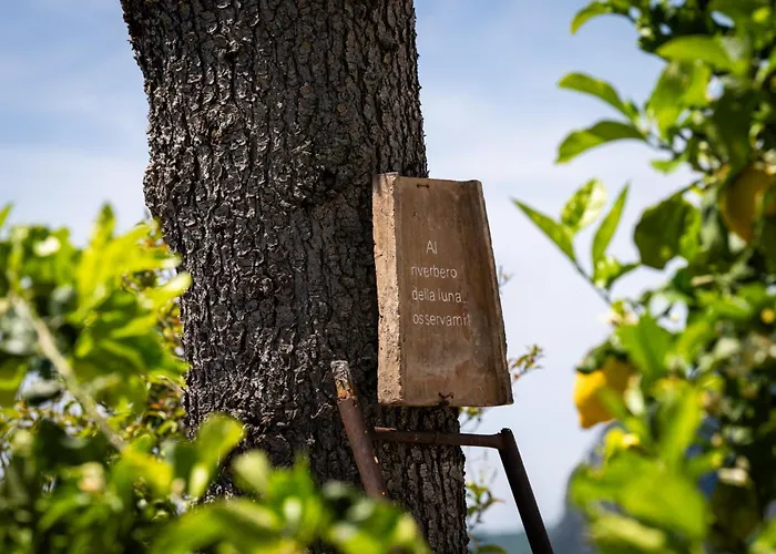 Dimora Giuela Gasthuis 4*